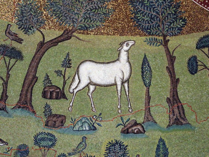 Bylo mu jich líto - záznamy bohoslužeb a promluv z 21.7.2024